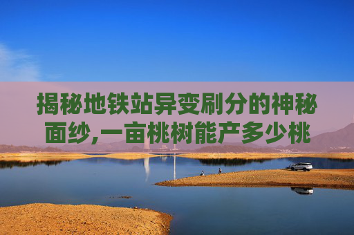 揭秘地铁站异变刷分的神秘面纱,一亩桃树能产多少桃胶