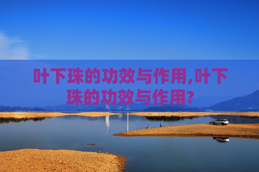 叶下珠的功效与作用,叶下珠的功效与作用? 叶下珠的功效与作用,叶下珠的功效与作用?