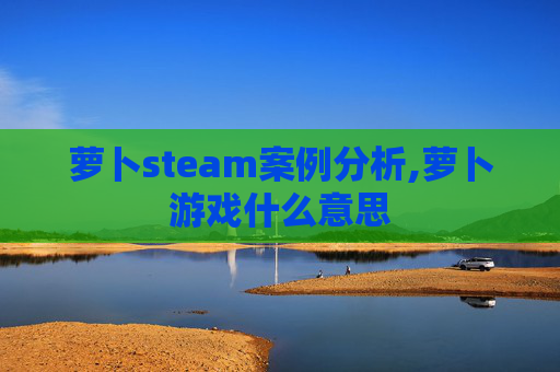 萝卜steam案例分析,萝卜游戏什么意思 萝卜steam案例分析,萝卜游戏什么意思