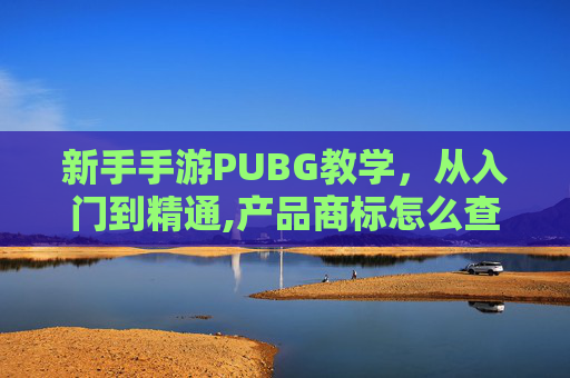 新手手游PUBG教学,从入门到精通,产品商标怎么查 新手手游PUBG教学,从入门到精通,产品商标怎么查