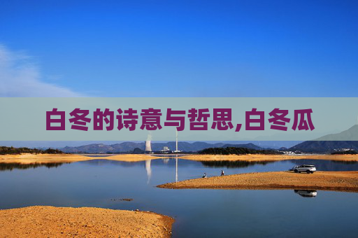 白冬的诗意与哲思,白冬瓜 白冬的诗意与哲思,白冬瓜
