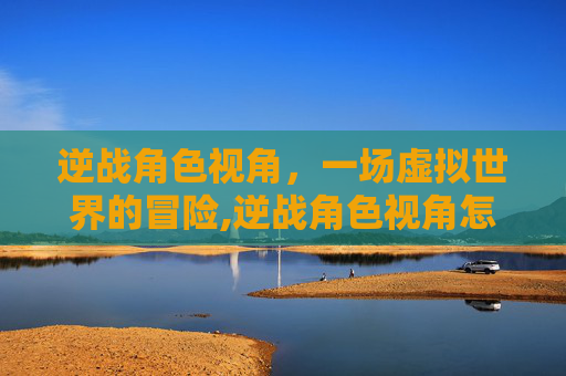逆战角色视角，一场虚拟世界的冒险,逆战角色视角怎么设置