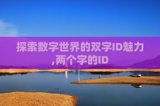 探索数字世界的双字ID魅力,两个字的ID