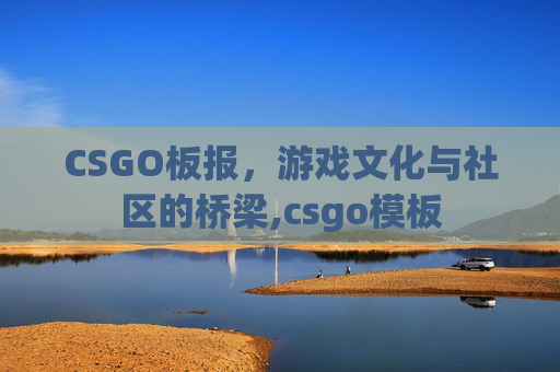 CSGO板报，游戏文化与社区的桥梁,csgo模板