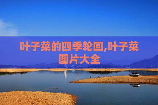 叶子菜的四季轮回,叶子菜图片大全 叶子菜的四季轮回,叶子菜图片大全