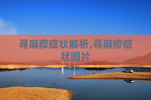寻麻疹症状解析,寻麻疹症状图片