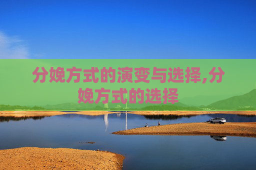 分娩方式的演变与选择,分娩方式的选择