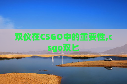 双仪在CSGO中的重要性,csgo双匕