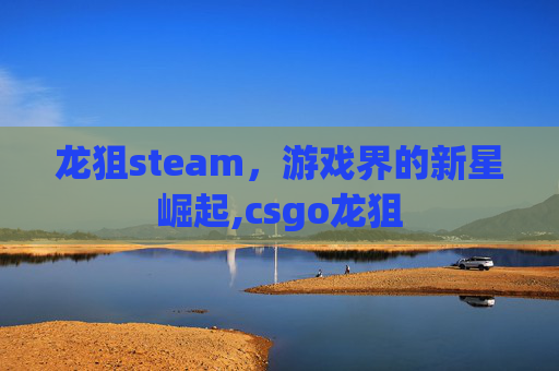 龙狙steam，游戏界的新星崛起,csgo龙狙