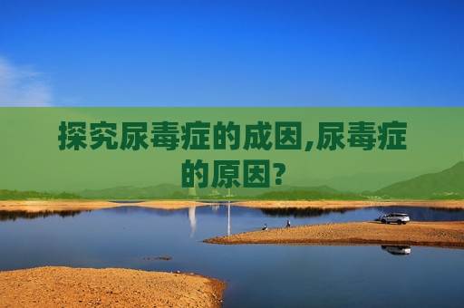 探究尿毒症的成因,尿毒症的原因?