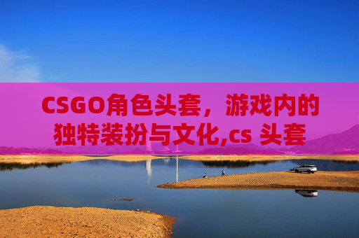 CSGO角色头套，游戏内的独特装扮与文化,cs 头套