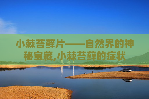 小棘苔藓片——自然界的神秘宝藏,小棘苔藓的症状