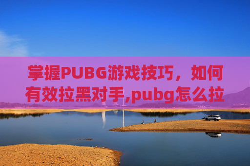 掌握PUBG游戏技巧，如何有效拉黑对手,pubg怎么拉黑