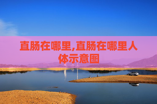 直肠在哪里,直肠在哪里人体示意图