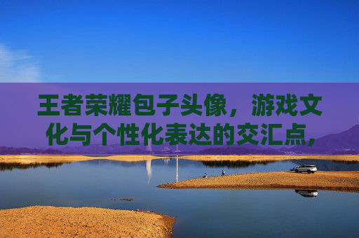 王者荣耀包子头像，游戏文化与个性化表达的交汇点,王者荣耀包子头像高清