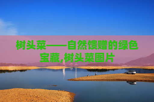 树头菜——自然馈赠的绿色宝藏,树头菜图片