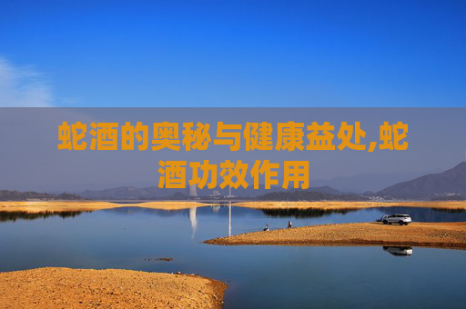 蛇酒的奥秘与健康益处,蛇酒功效作用