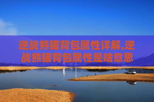 逆战熊猫背包属性详解,逆战熊猫背包属性是啥意思