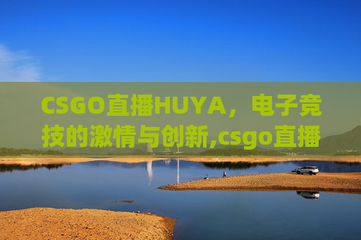 CSGO直播HUYA，电子竞技的激情与创新,csgo直播回放