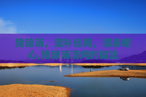 猪蹄汤，滋补佳肴，暖身暖心,猪蹄汤清炖的做法