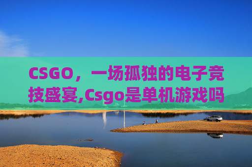 CSGO，一场孤独的电子竞技盛宴,Csgo是单机游戏吗