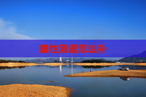 雄性激素怎么补