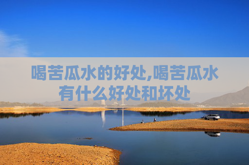 喝苦瓜水的好处,喝苦瓜水有什么好处和坏处