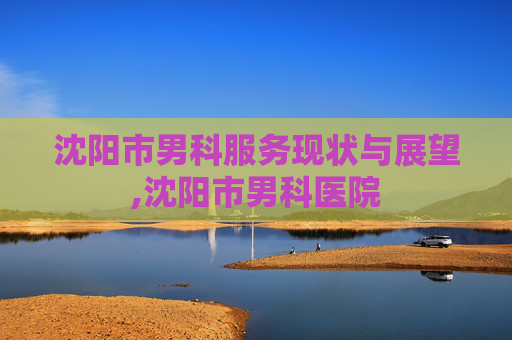 沈阳市男科服务现状与展望,沈阳市男科医院