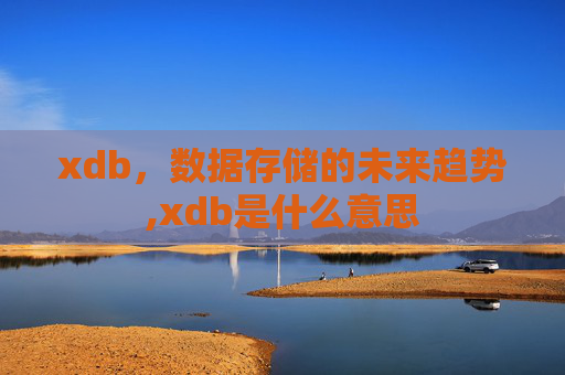 xdb，数据存储的未来趋势,xdb是什么意思