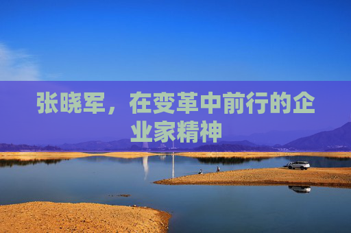 张晓军，在变革中前行的企业家精神