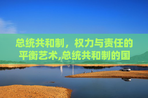 总统共和制，权力与责任的平衡艺术,总统共和制的国家