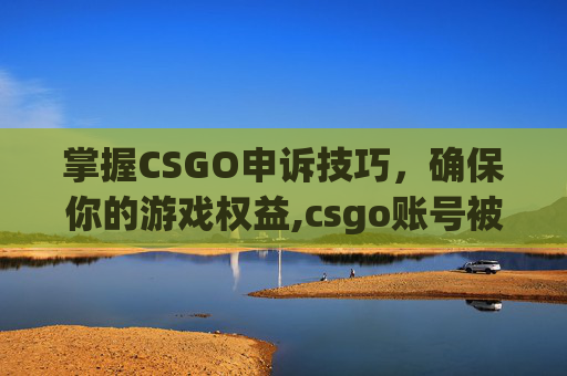 掌握CSGO申诉技巧，确保你的游戏权益,csgo账号被误封怎么申诉