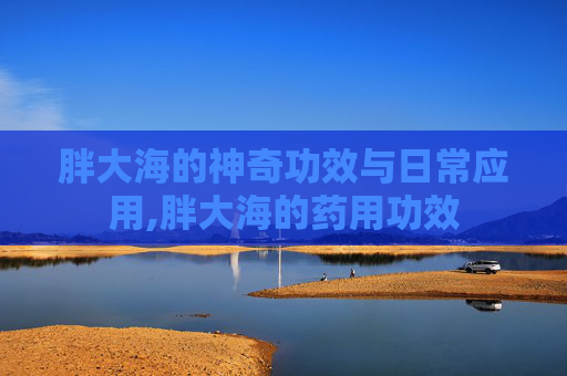 胖大海的神奇功效与日常应用,胖大海的药用功效