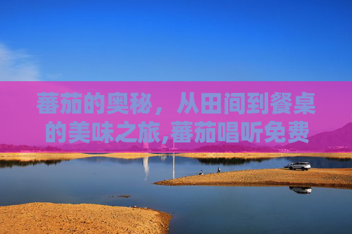 蕃茄的奥秘，从田间到餐桌的美味之旅,蕃茄唱听免费