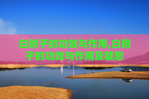 白附子的功效与作用,白附子的功效与作用及禁忌