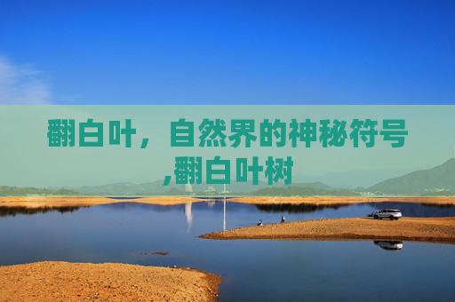 翻白叶，自然界的神秘符号,翻白叶树
