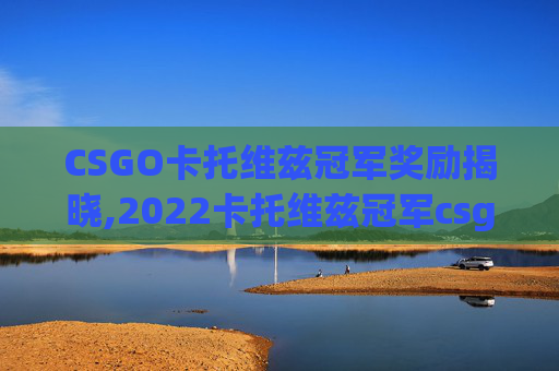CSGO卡托维兹冠军奖励揭晓,2022卡托维兹冠军csgo