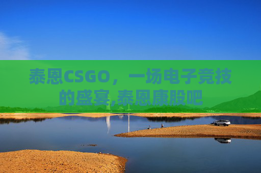 泰恩CSGO，一场电子竞技的盛宴,泰恩康股吧