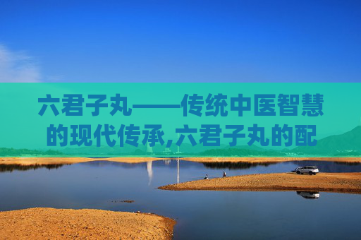 六君子丸——传统中医智慧的现代传承,六君子丸的配方组成