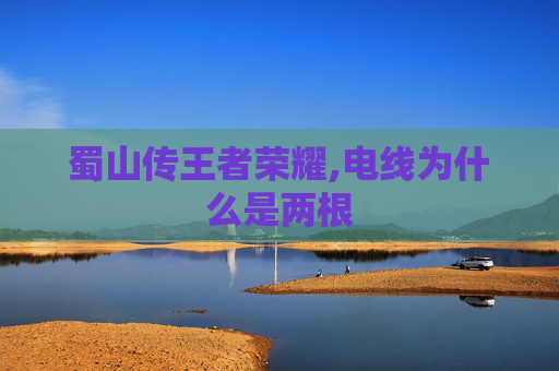 蜀山传王者荣耀,电线为什么是两根