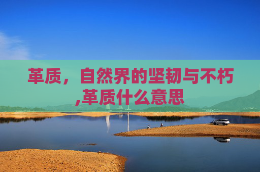 革质，自然界的坚韧与不朽,革质什么意思