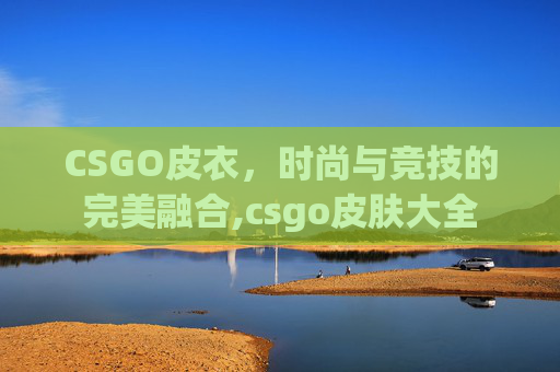 CSGO皮衣，时尚与竞技的完美融合,csgo皮肤大全