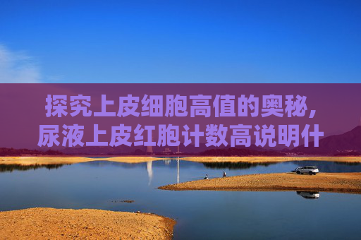 探究上皮细胞高值的奥秘,尿液上皮红胞计数高说明什么