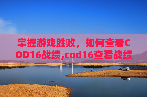 掌握游戏胜败，如何查看COD16战绩,cod16查看战绩