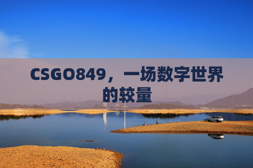 CSGO849，一场数字世界的较量