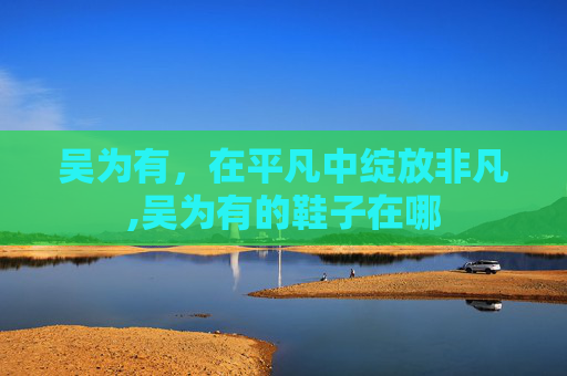 吴为有，在平凡中绽放非凡,吴为有的鞋子在哪