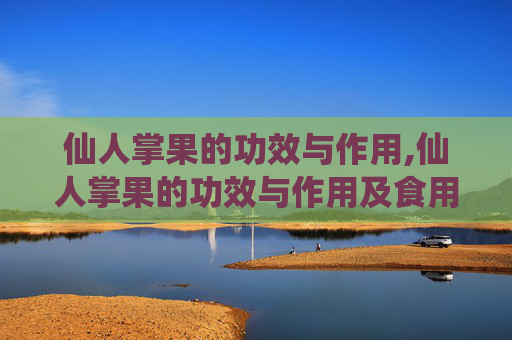 仙人掌果的功效与作用,仙人掌果的功效与作用及食用方法