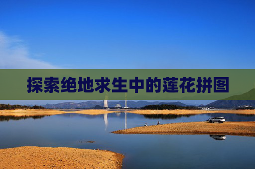 探索绝地求生中的莲花拼图