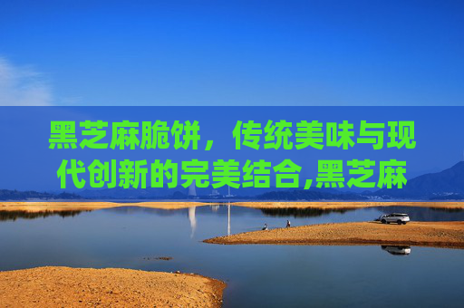 黑芝麻脆饼，传统美味与现代创新的完美结合,黑芝麻脆饼的做法