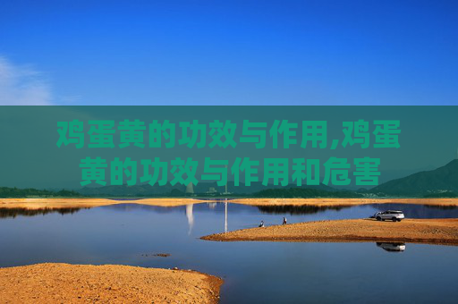 鸡蛋黄的功效与作用,鸡蛋黄的功效与作用和危害